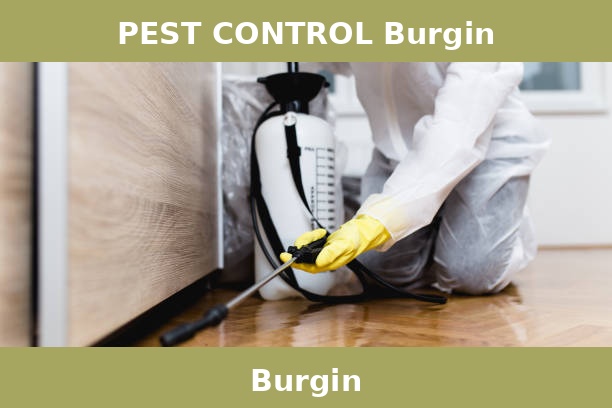 PEST CONTROL Burgin